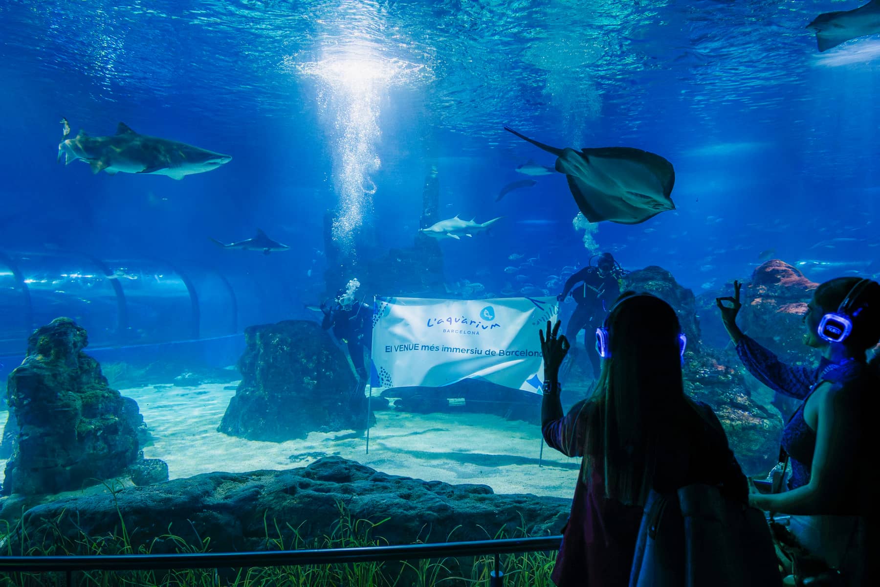 Invitados con auriculares AURA dentro del Aquarium de Barcelona
